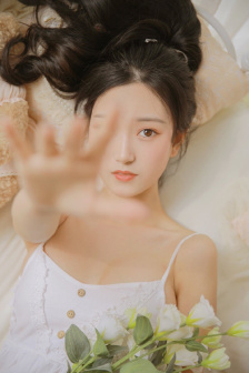 《法国啄木鸟:会议2》